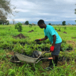 Edunite2serve: Lake Malawi Land Initiative