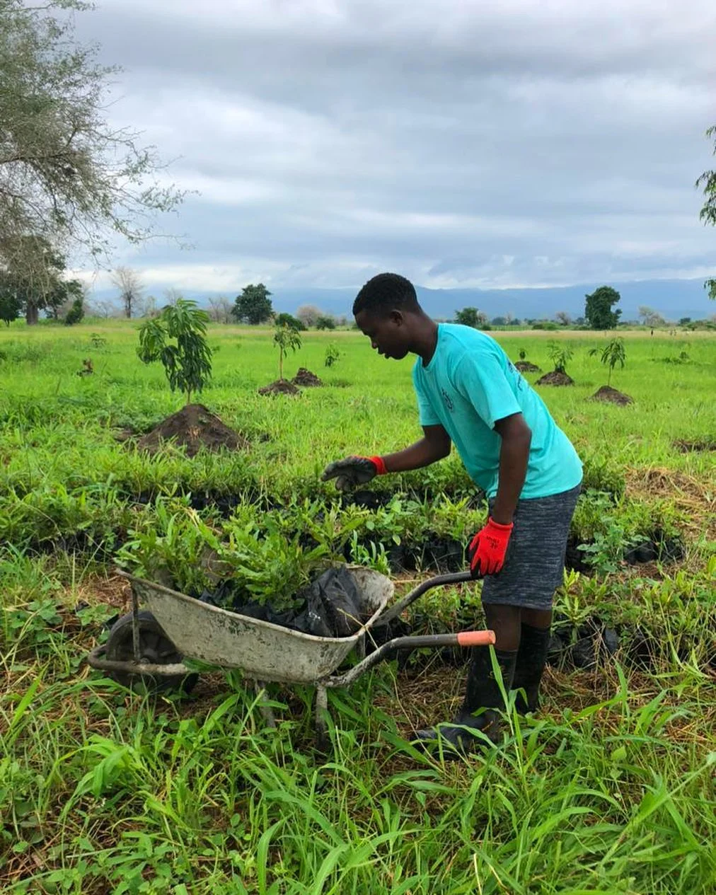 Edunite2serve: Lake Malawi Land Initiative